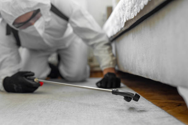 Professional Bed Bug Control technician working in Mitchell County County, TX